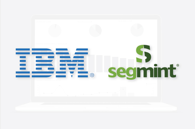 IBM Segmint